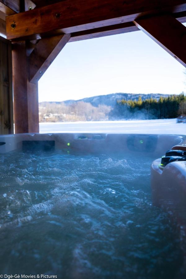 Les Jardins Du Herisson Chalet 2 Bonlieu 外观 照片